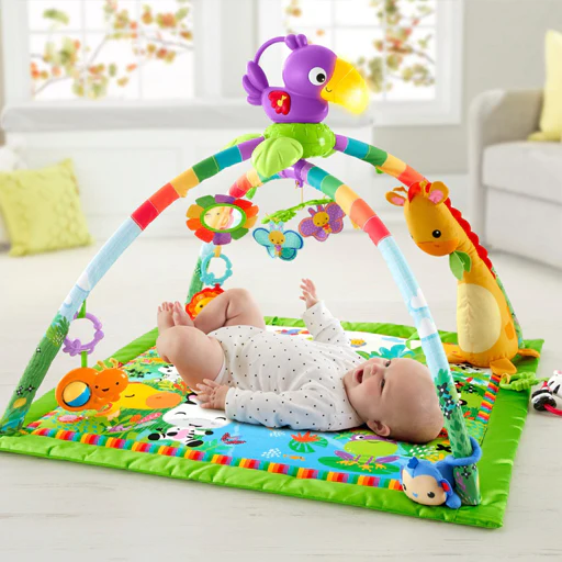 Learning Toys