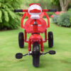 Duck face Kids Tricycle T-230F