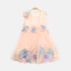 Rainbow Blossom Frock