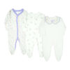 Blooming Garden Sleepsuit Pk-3