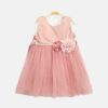 Shimmer Rose Frock