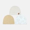 Honey Bear Stripe Trio
