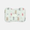 NIGHT SKY PILLOW