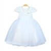 DREAMY FANCY FROCK