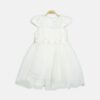 Pearl Accented Shimmer Frock