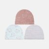 Blush Bear Trio Pack Of 3
