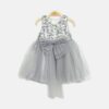 Silver Shimmer Frock