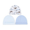 CAPS PK-3 BLUE STRIPED AEROPLANES