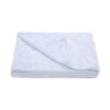 BLUE PLUSH BOYS BLANKET