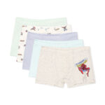 BOY BOXER PK-5 BLUE SPIDERMAN